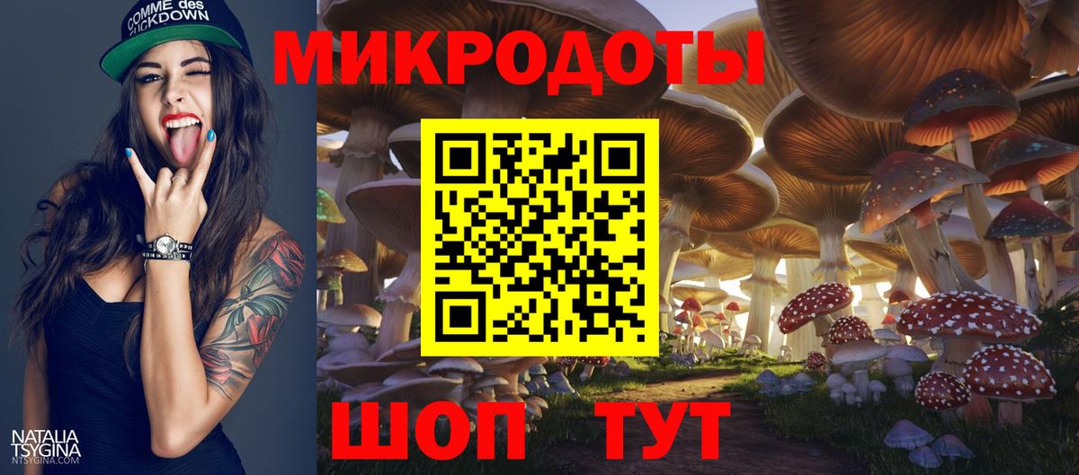 Галлюциногенные грибы прущие грибы  Вход с VPN  Галлюциногенные грибы мухоморы  Тулун 